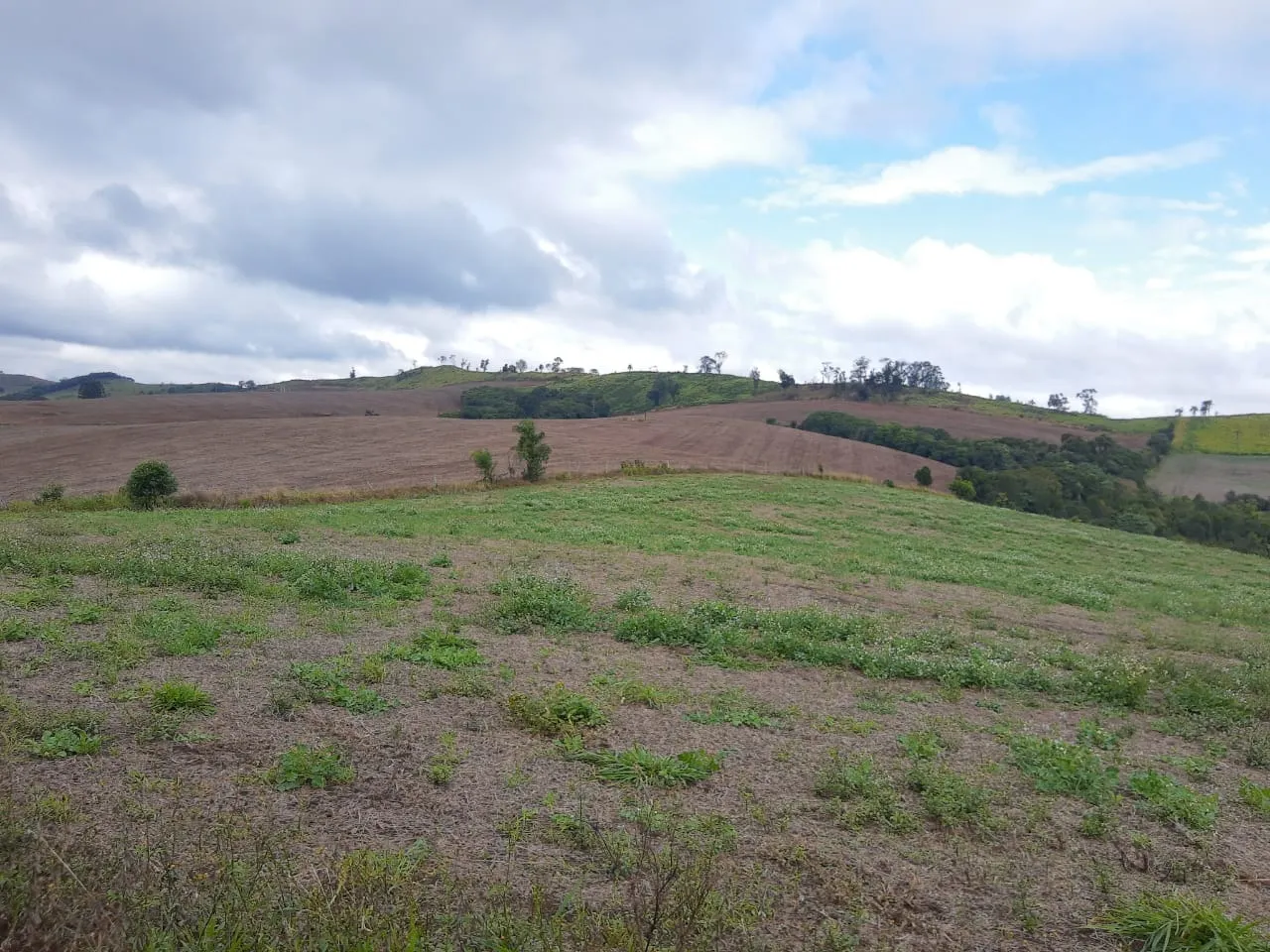 Fazenda à venda de 363 ha em Ortigueira, PR, Brasil