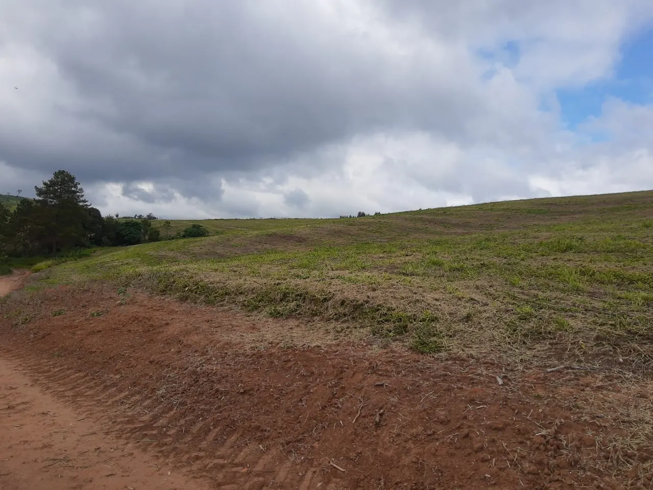 Fazenda à venda de 363 ha em Ortigueira, PR, Brasil