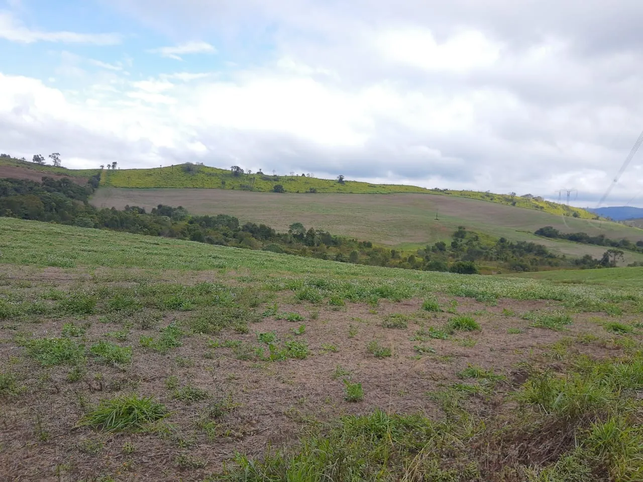 Fazenda à venda de 363 ha em Ortigueira, PR, Brasil