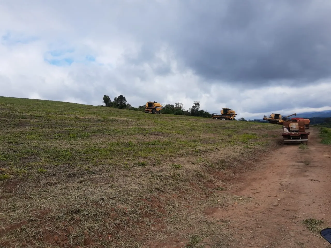 Fazenda à venda de 363 ha em Ortigueira, PR, Brasil