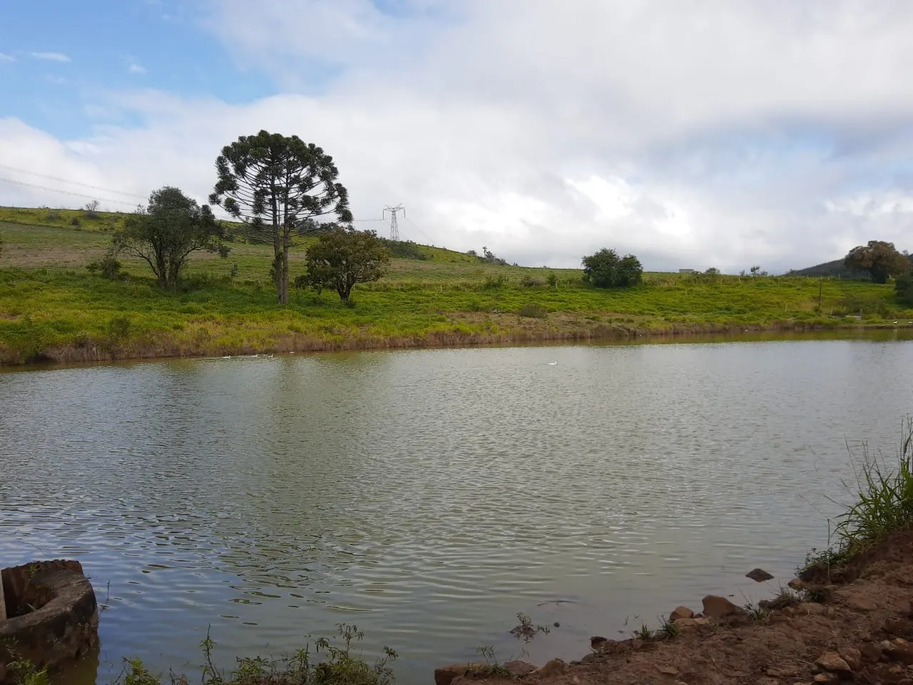 Fazenda à venda de 363 ha em Ortigueira, PR, Brasil