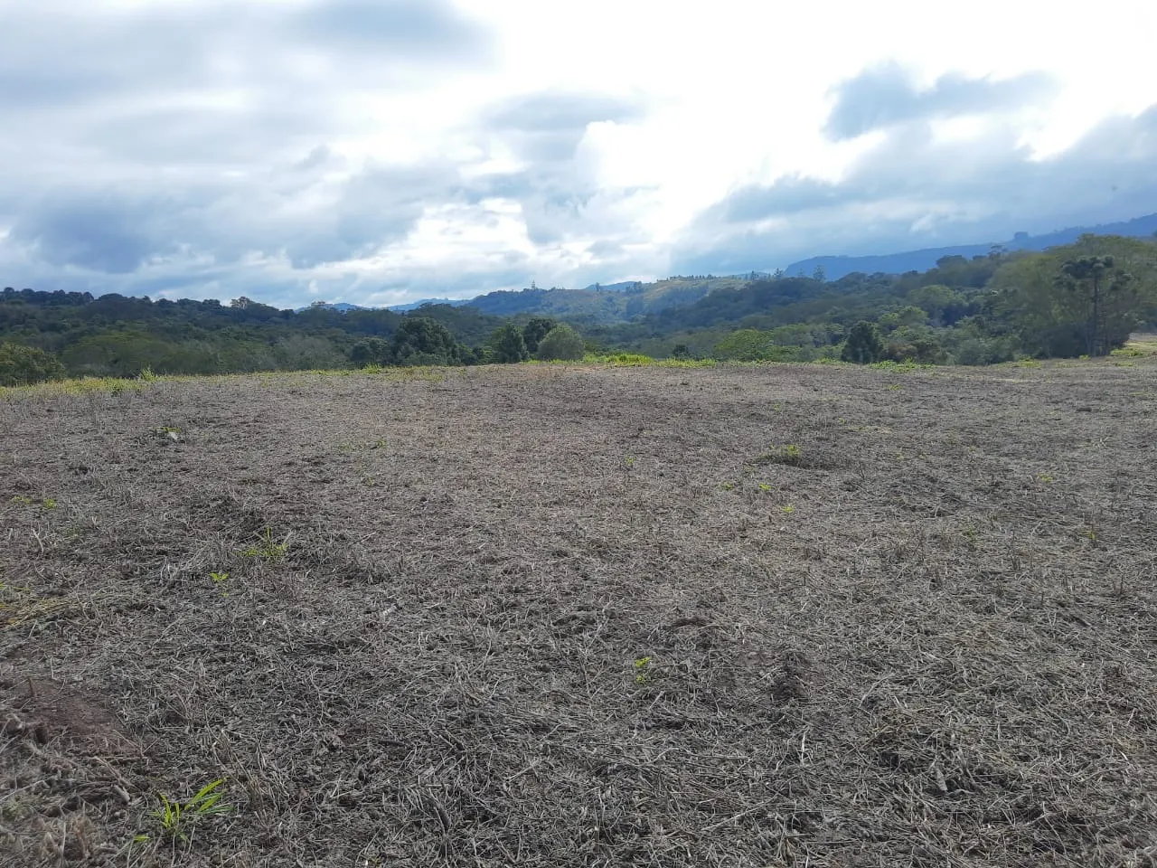 Fazenda à venda de 363 ha em Ortigueira, PR, Brasil