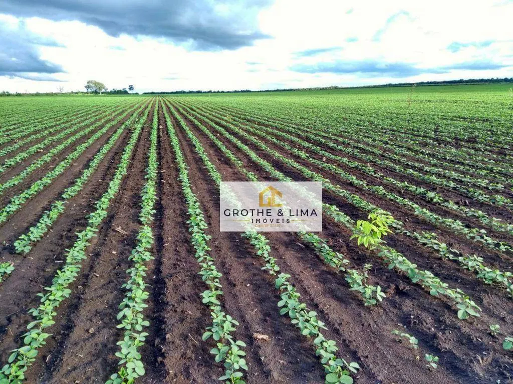 Fazenda à venda de 5.700 ha em Caxias, MA, Brasil