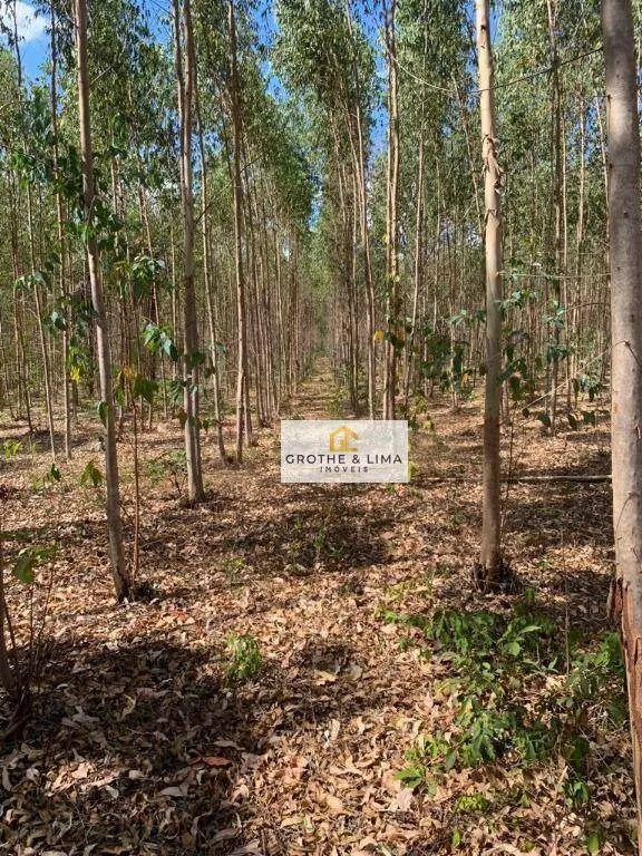 Fazenda à venda de 5.700 ha em Caxias, MA, Brasil
