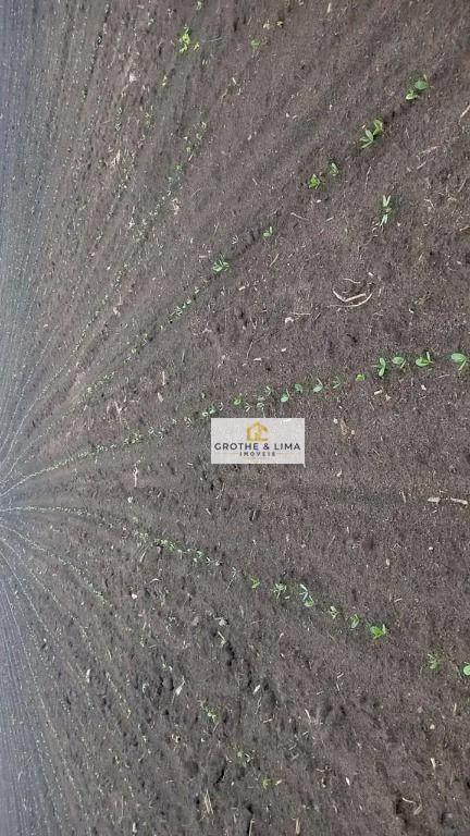Fazenda à venda de 5.700 ha em Caxias, MA, Brasil