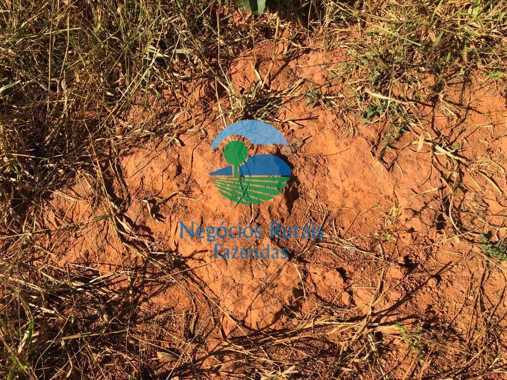 Fazenda à venda de 145 ha em Uruaçu, GO, Brasil