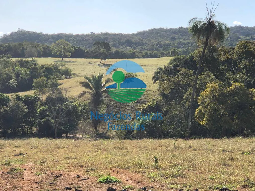 Fazenda à venda de 145 ha em Uruaçu, GO, Brasil