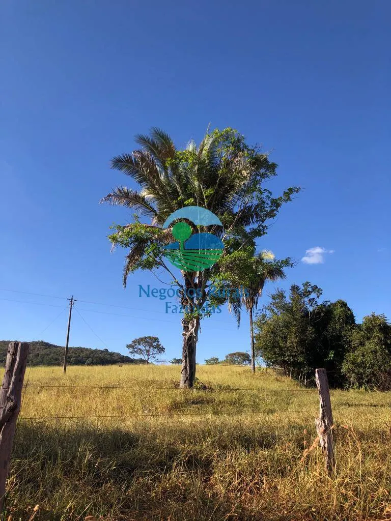 Fazenda à venda de 145 ha em Uruaçu, GO, Brasil