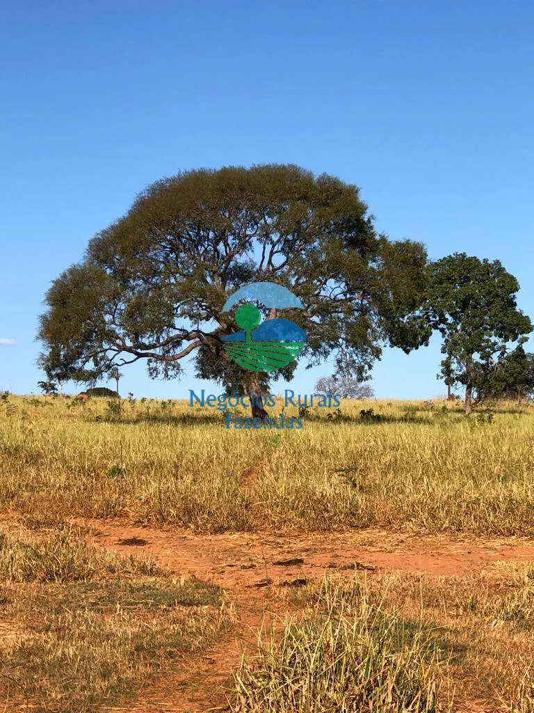 Fazenda à venda de 145 ha em Uruaçu, GO, Brasil