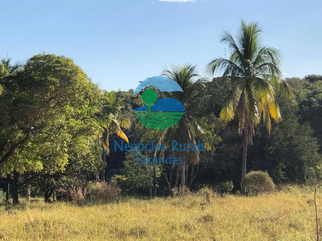 Fazenda à venda de 145 ha em Uruaçu, GO, Brasil