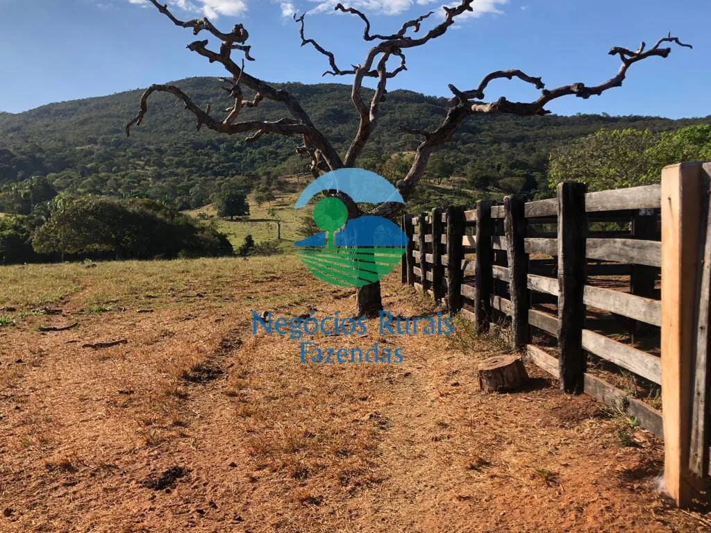 Fazenda à venda de 145 ha em Uruaçu, GO, Brasil
