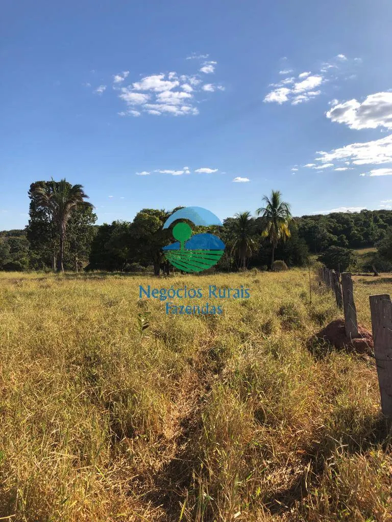 Fazenda à venda de 145 ha em Uruaçu, GO, Brasil