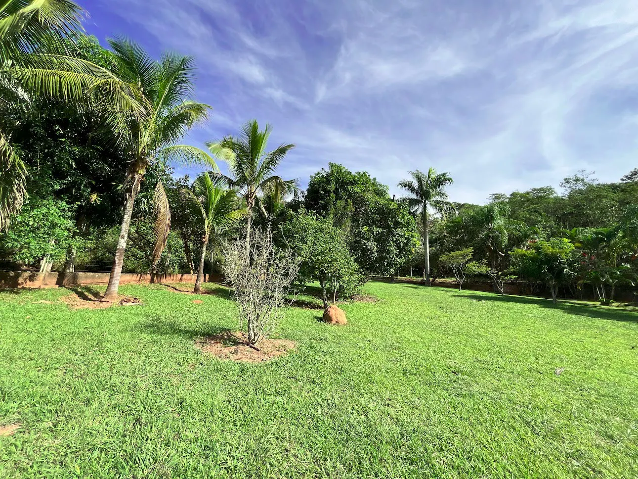 Sítio à venda de 5 ha em Caçapava, SP, Brasil