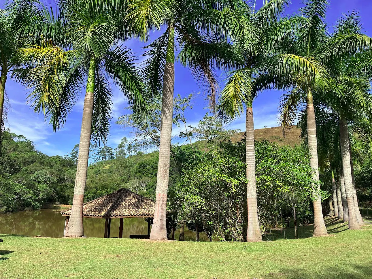Sítio à venda de 5 ha em Caçapava, SP, Brasil