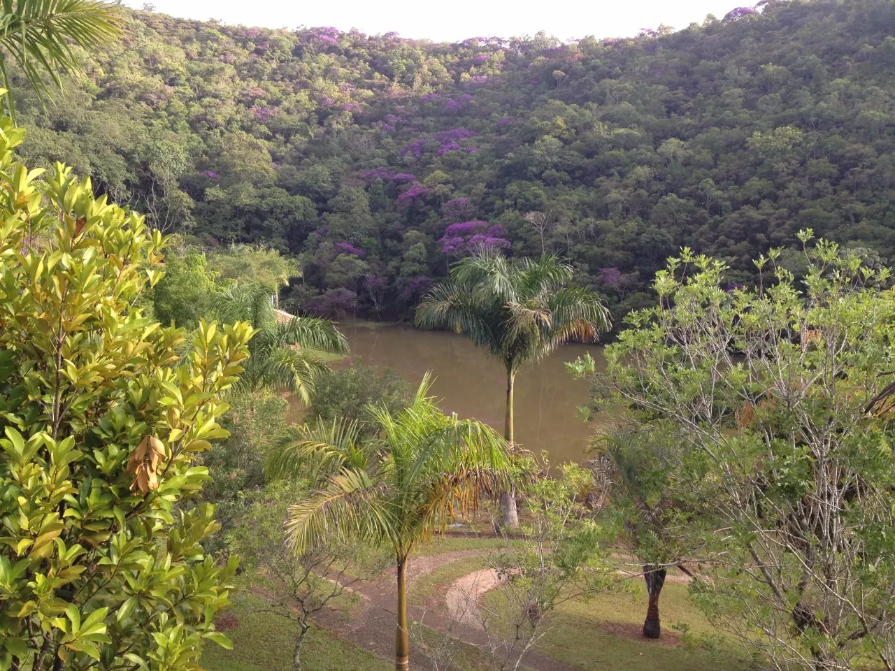 Sítio à venda de 5 ha em Caçapava, SP, Brasil