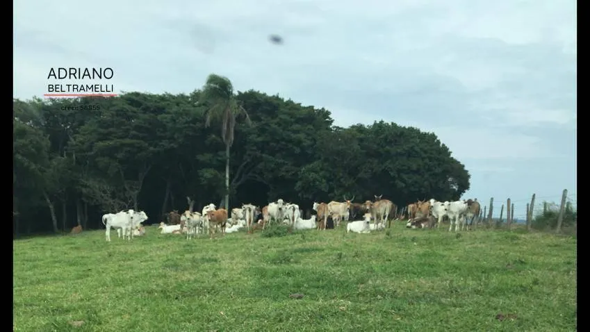 Farm for sale of 249,576 acres in Tuiuti, SP, Brazil