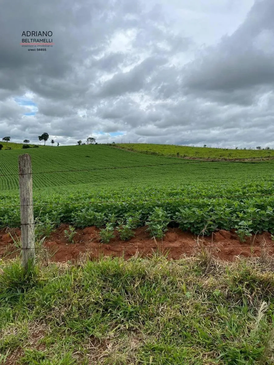 Farm for sale of 249,576 acres in Tuiuti, SP, Brazil