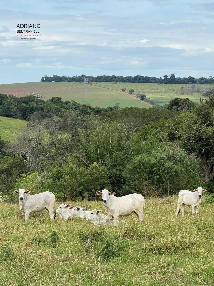 Farm for sale of 249,576 acres in Tuiuti, SP, Brazil