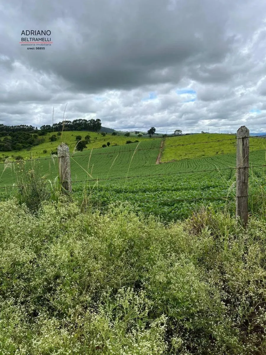 Farm for sale of 249,576 acres in Tuiuti, SP, Brazil
