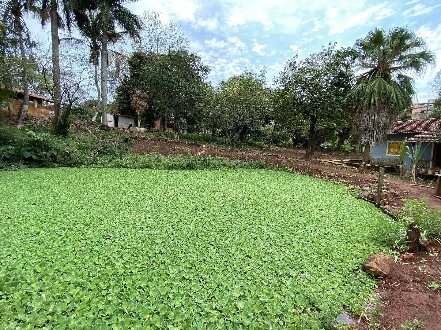 House for sale of 2 acres in Piraju, SP, Brazil