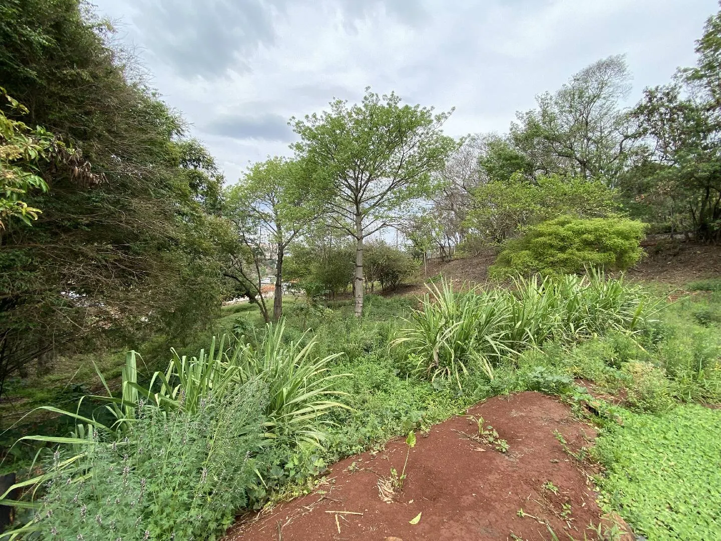 House for sale of 2 acres in Piraju, SP, Brazil