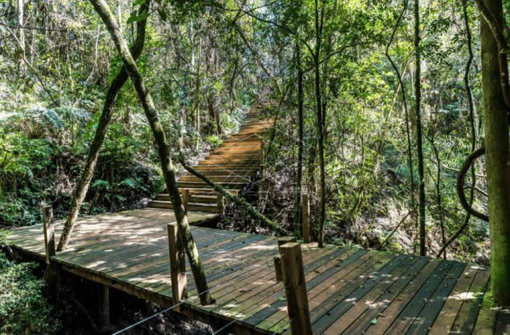 Chácara à venda de 462 m² em Pardinho, SP, Brasil
