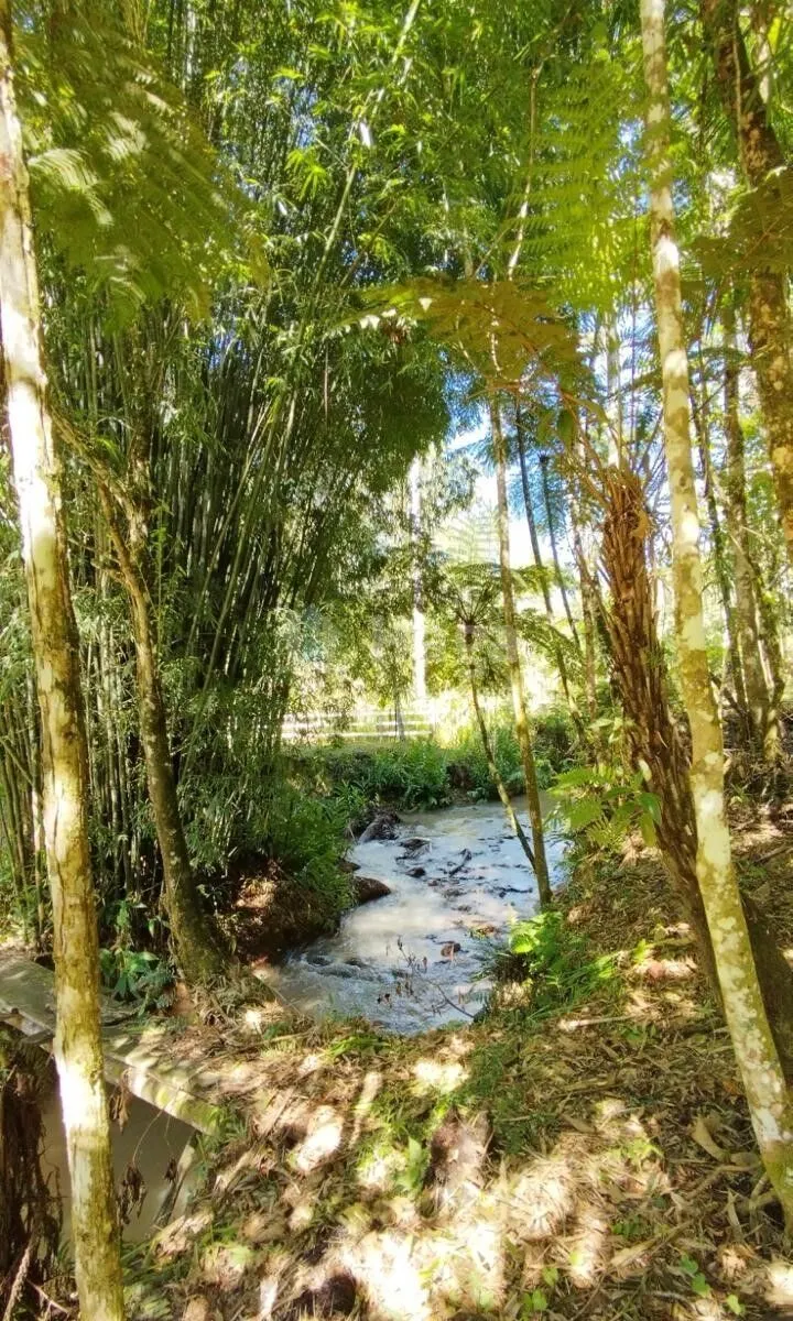 Fazenda à venda de 3 ha em Nova Trento, SC, Brasil