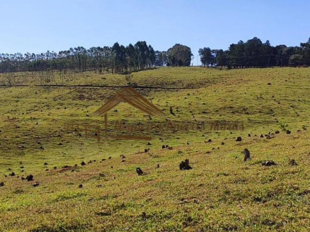 Fazenda à venda de 289 ha em Botucatu, SP, Brasil