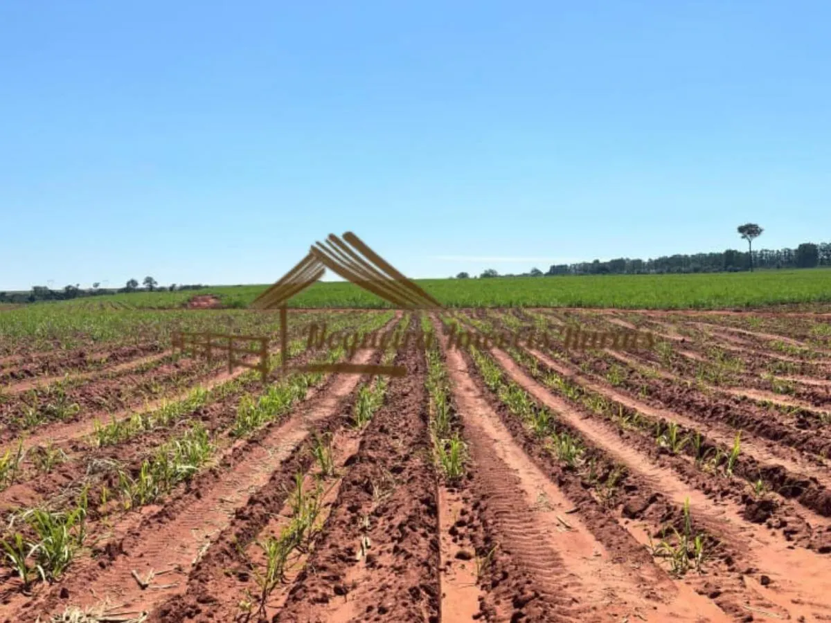 Fazenda à venda de 289 ha em Botucatu, SP, Brasil