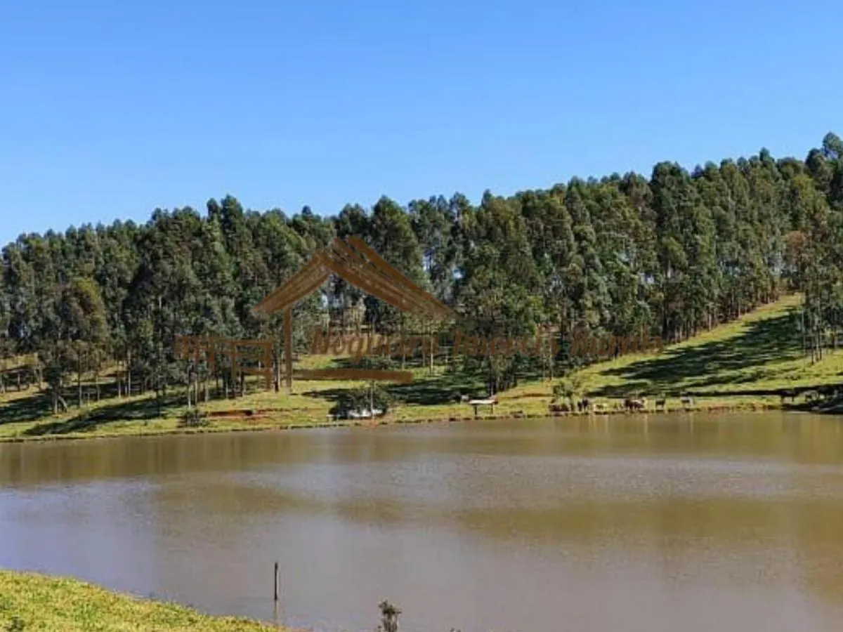 Fazenda à venda de 289 ha em Botucatu, SP, Brasil