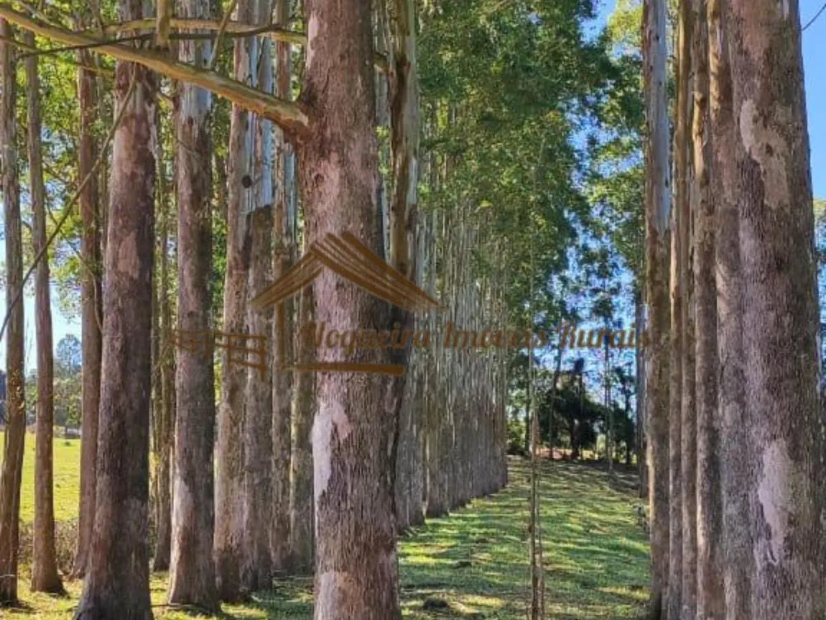 Fazenda à venda de 289 ha em Botucatu, SP, Brasil