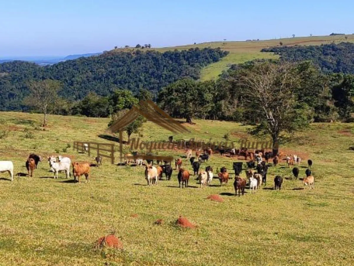 Fazenda à venda de 289 ha em Botucatu, SP, Brasil