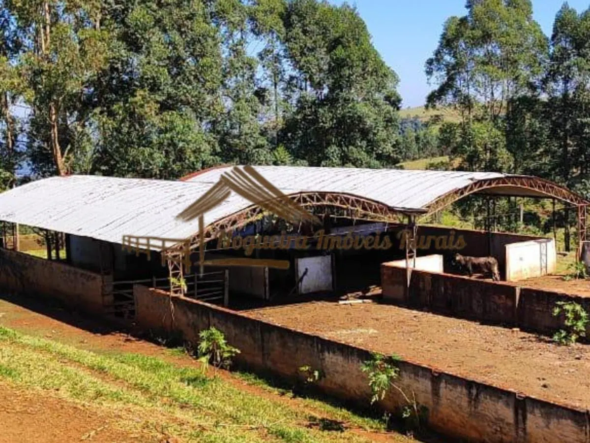 Fazenda à venda de 289 ha em Botucatu, SP, Brasil