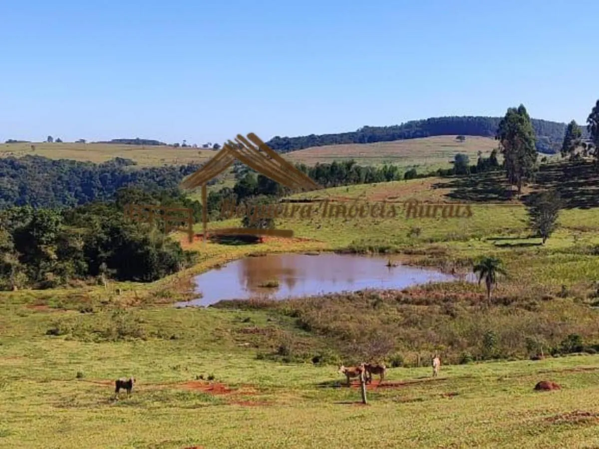 Fazenda à venda de 289 ha em Botucatu, SP, Brasil