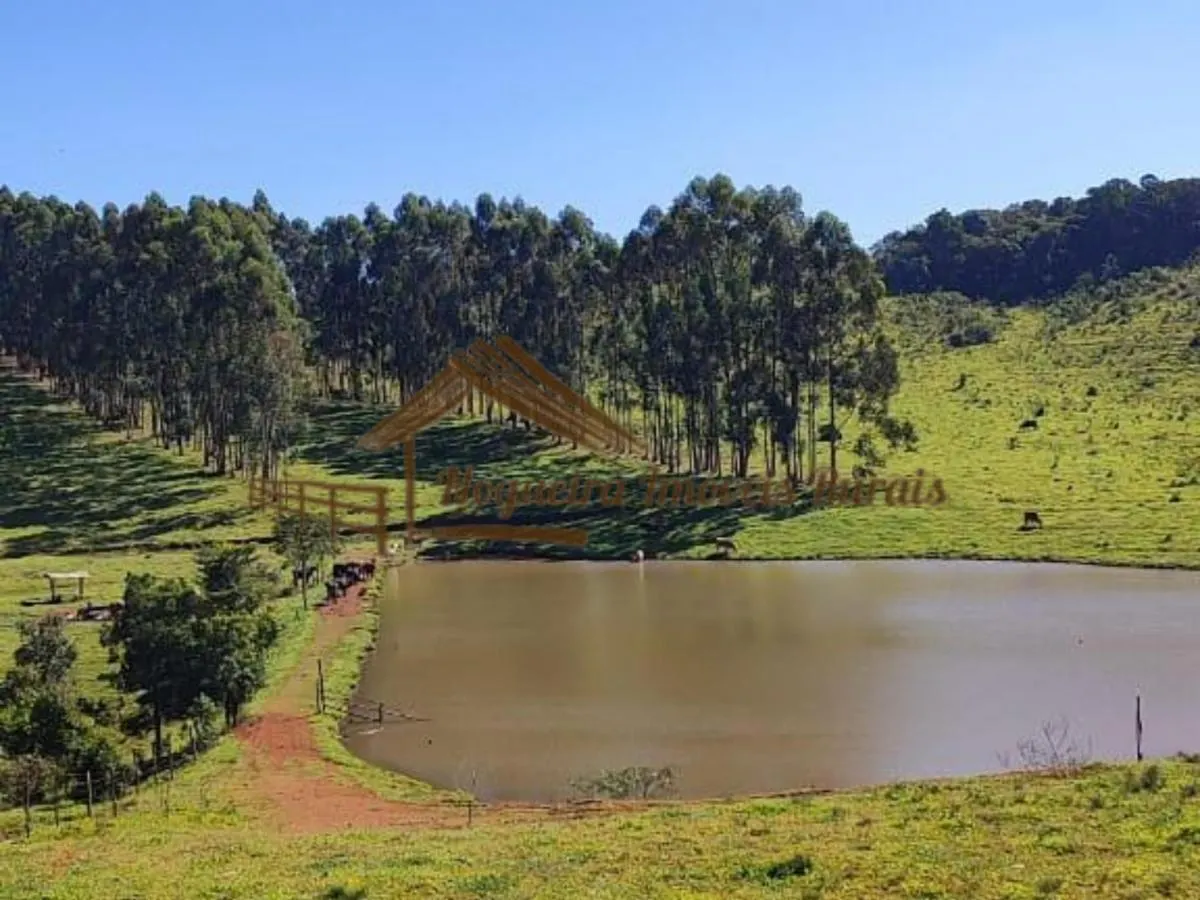 Fazenda à venda de 289 ha em Botucatu, SP, Brasil
