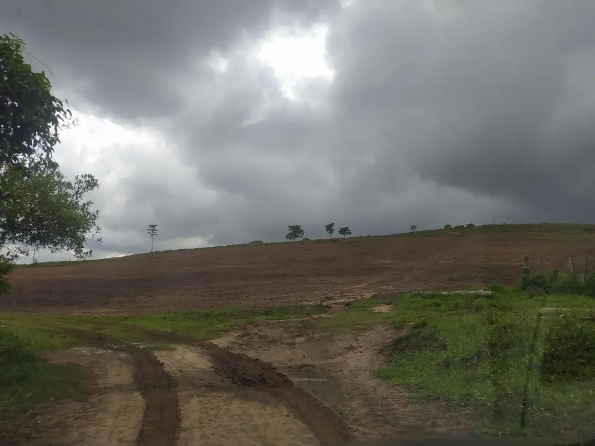 Fazenda à venda de 126 ha em Cássia dos Coqueiros, SP, Brasil