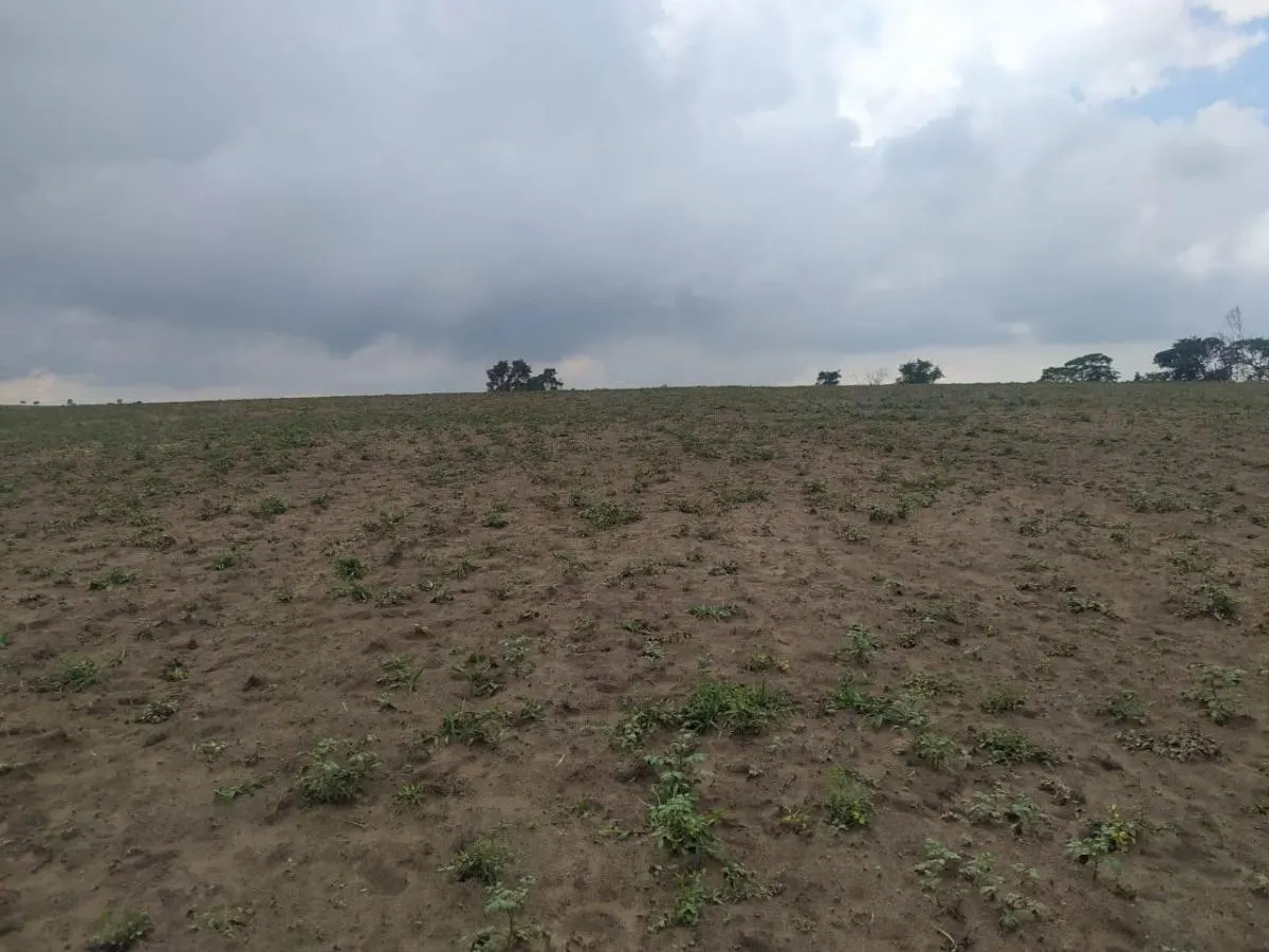 Fazenda à venda de 126 ha em Cássia dos Coqueiros, SP, Brasil