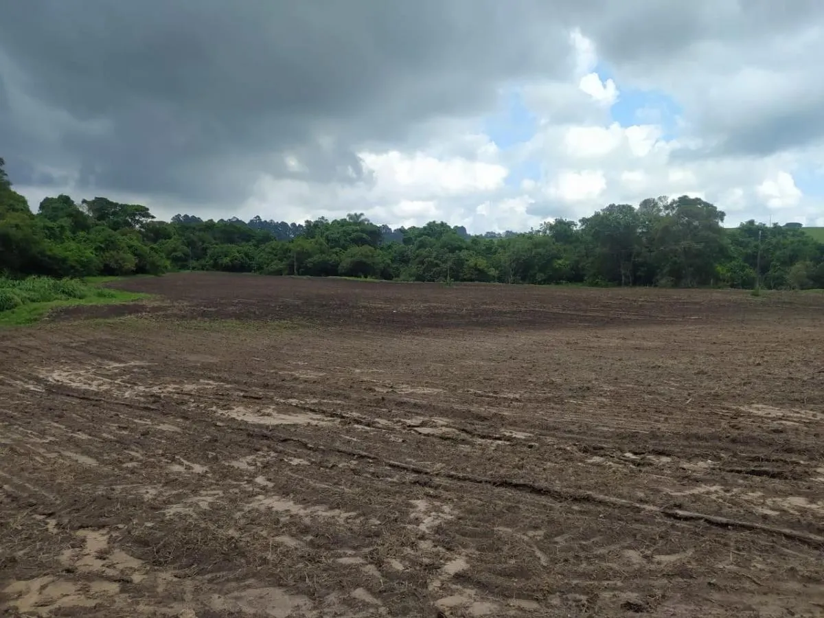 Fazenda à venda de 126 ha em Cássia dos Coqueiros, SP, Brasil