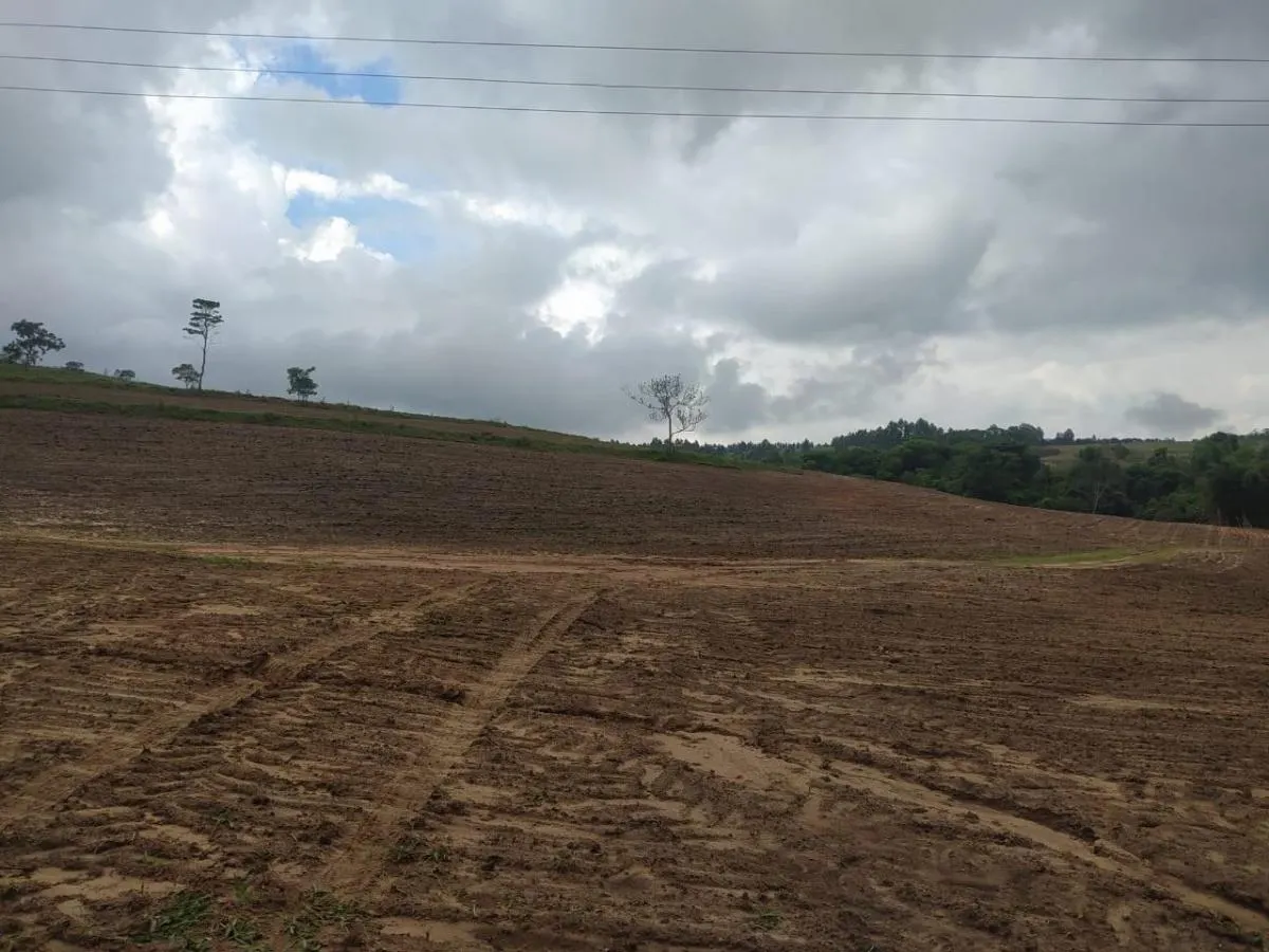 Fazenda à venda de 126 ha em Cássia dos Coqueiros, SP, Brasil