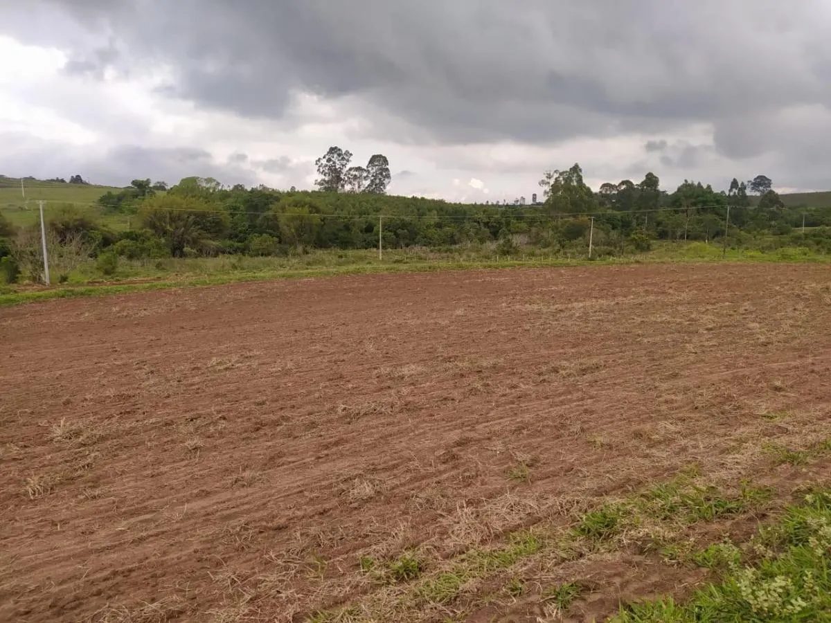 Fazenda à venda de 126 ha em Cássia dos Coqueiros, SP, Brasil