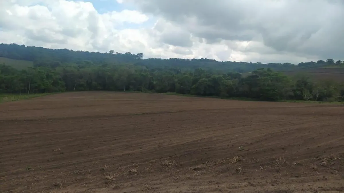 Fazenda à venda de 126 ha em Cássia dos Coqueiros, SP, Brasil