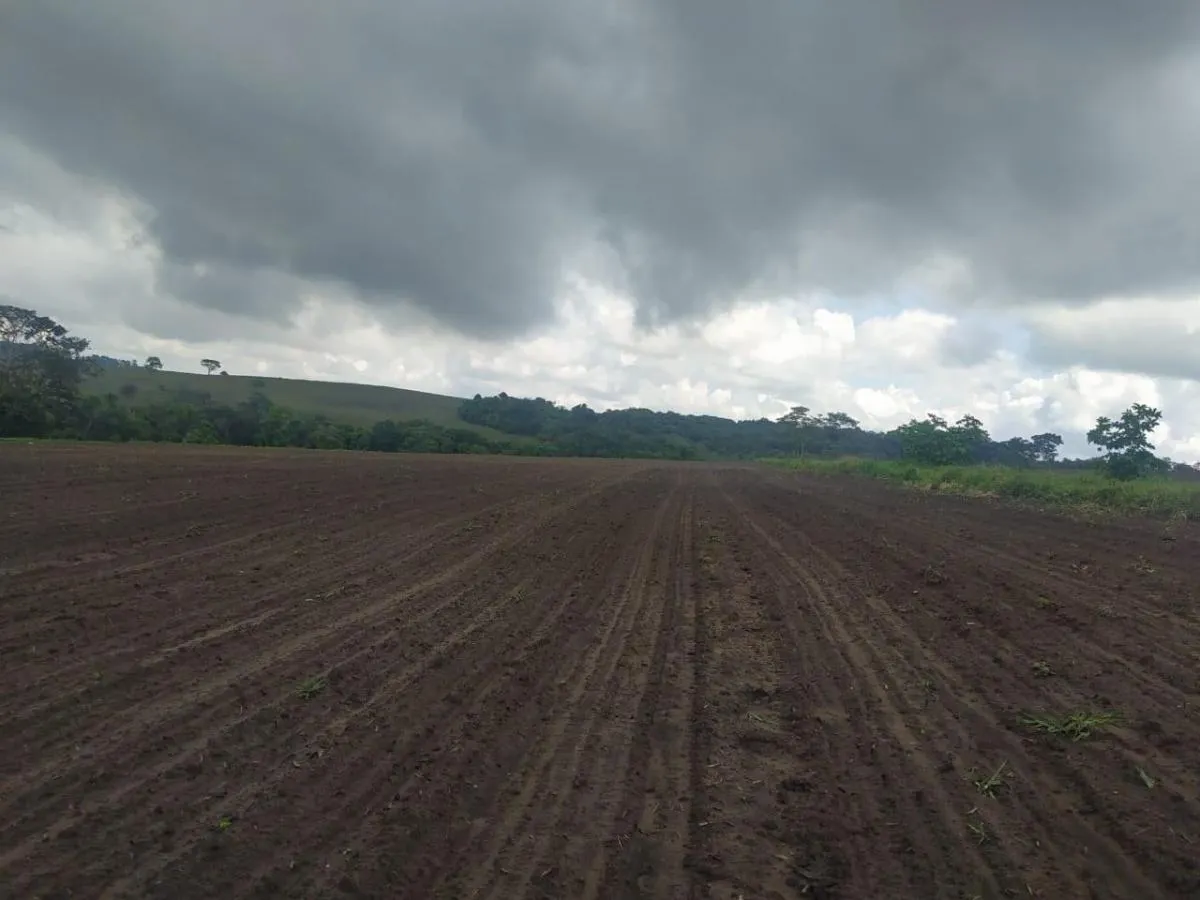 Fazenda à venda de 126 ha em Cássia dos Coqueiros, SP, Brasil
