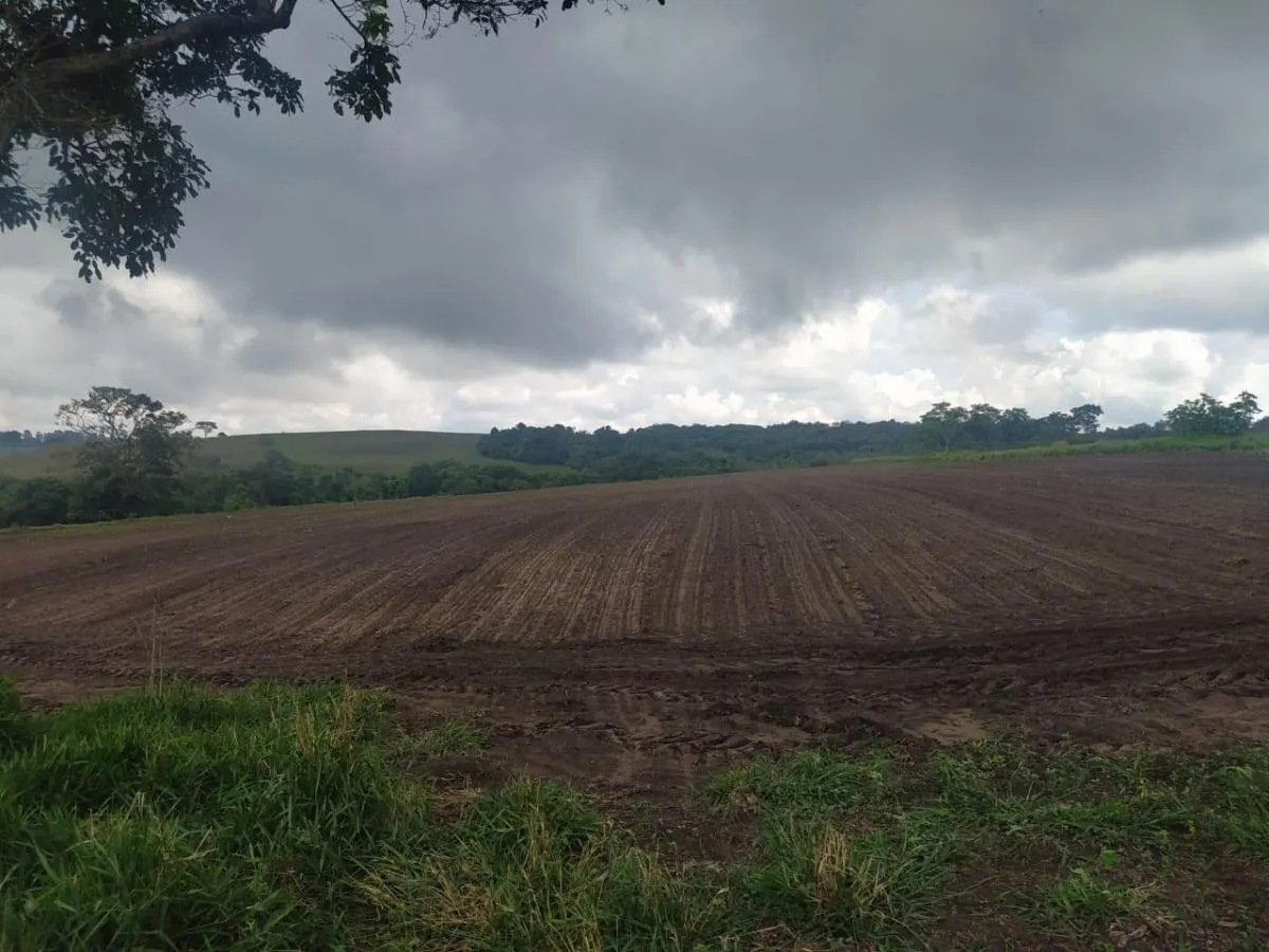 Fazenda à venda de 126 ha em Cássia dos Coqueiros, SP, Brasil
