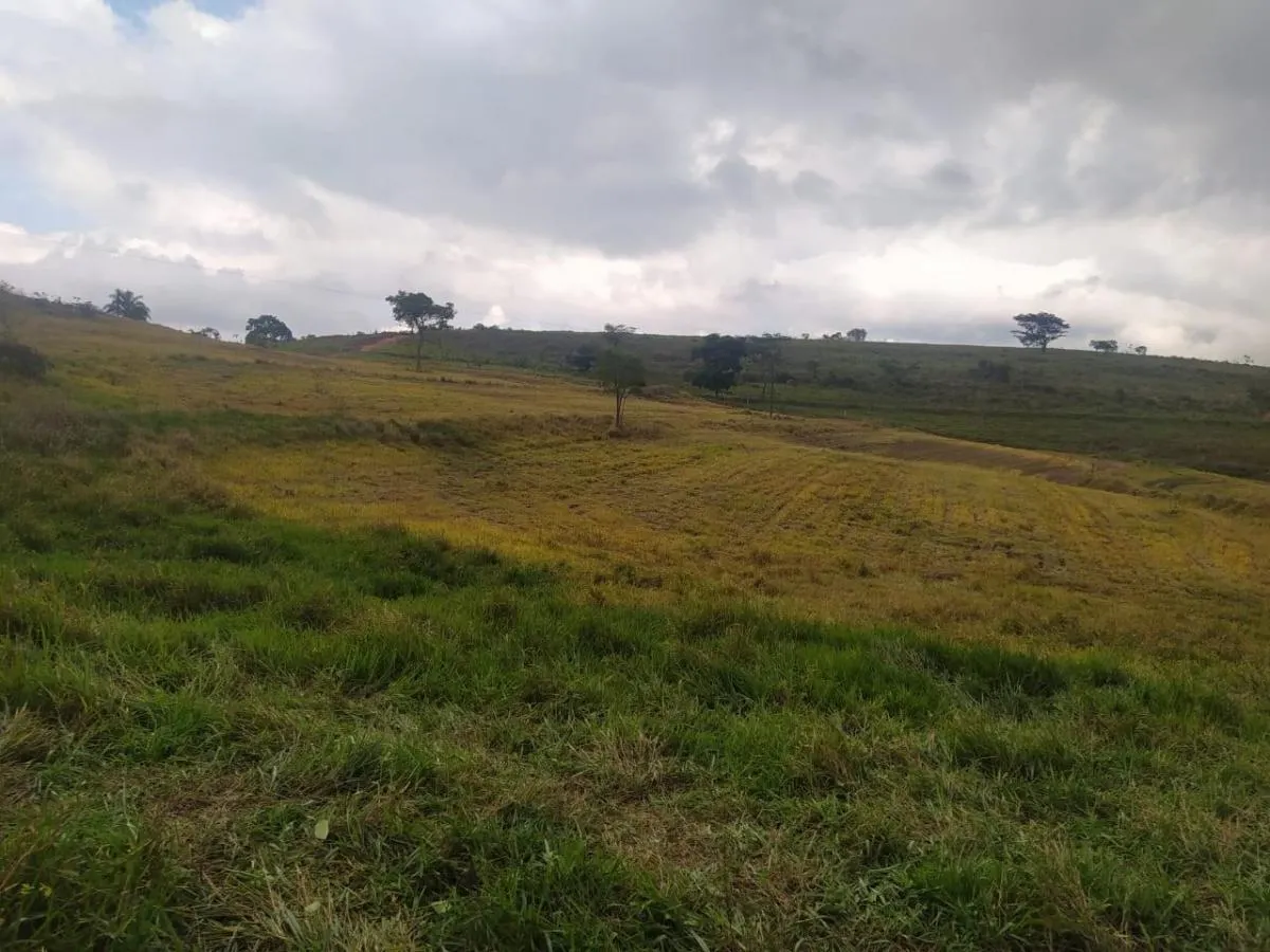Fazenda à venda de 126 ha em Cássia dos Coqueiros, SP, Brasil