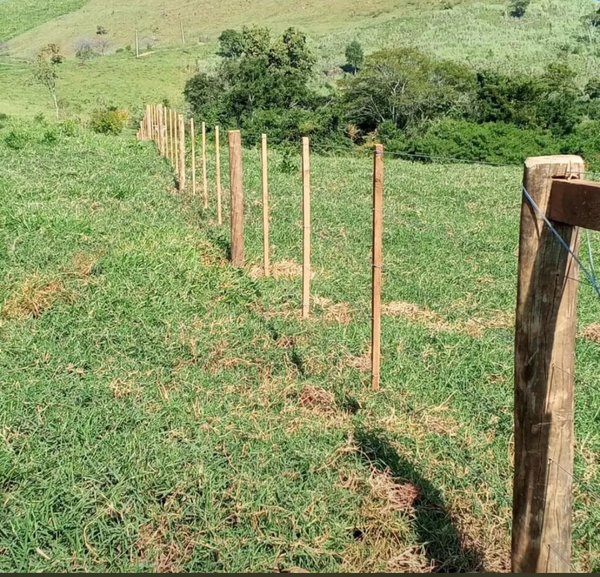 Fazenda à venda de 216 ha em Guaraniaçu, PR, Brasil
