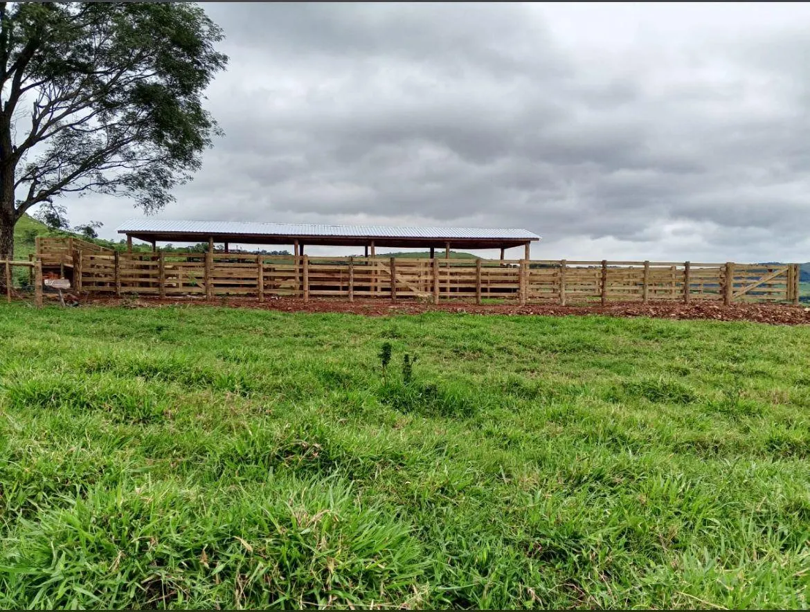 Fazenda à venda de 216 ha em Guaraniaçu, PR, Brasil