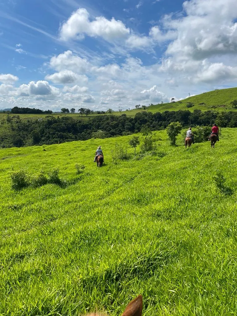 Fazenda à venda de 216 ha em Guaraniaçu, PR, Brasil