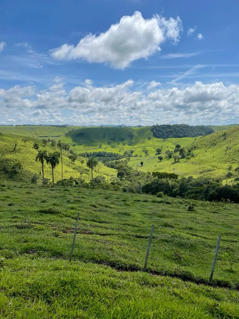Fazenda à venda de 216 ha em Guaraniaçu, PR, Brasil