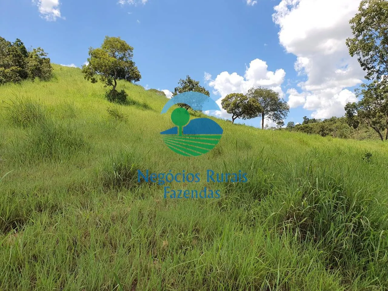 Fazenda à venda de 997 ha em Campinorte, GO, Brasil