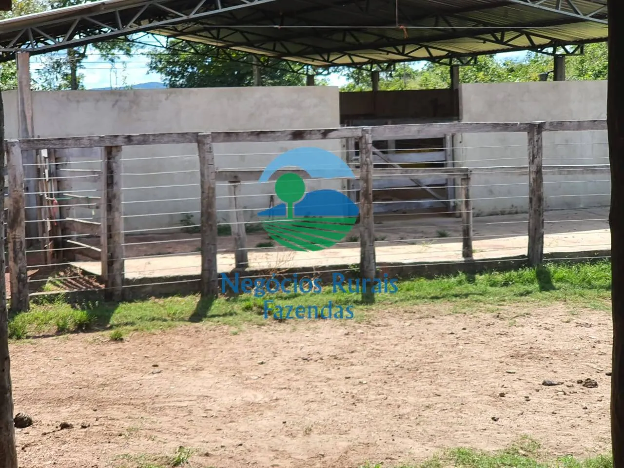 Farm for sale of 2,464 acres in Campinorte, GO, Brazil